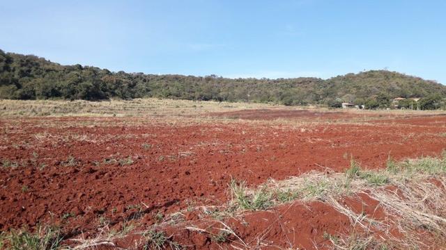 Chácara Venda Ibiporã Próximo Recanto do Engenho - Foto 8