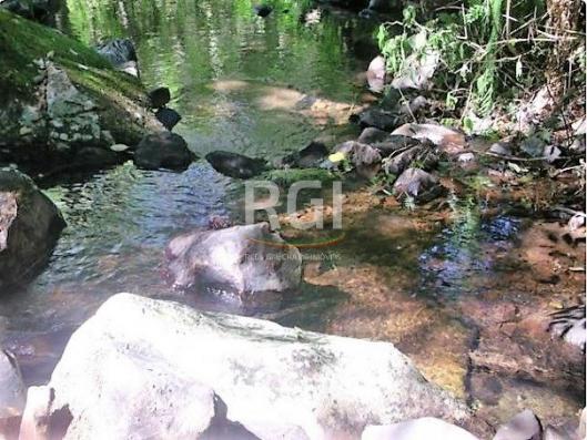 Sítio à venda em Zona rural, São francisco de paula cod:LI50877651 - Foto 5