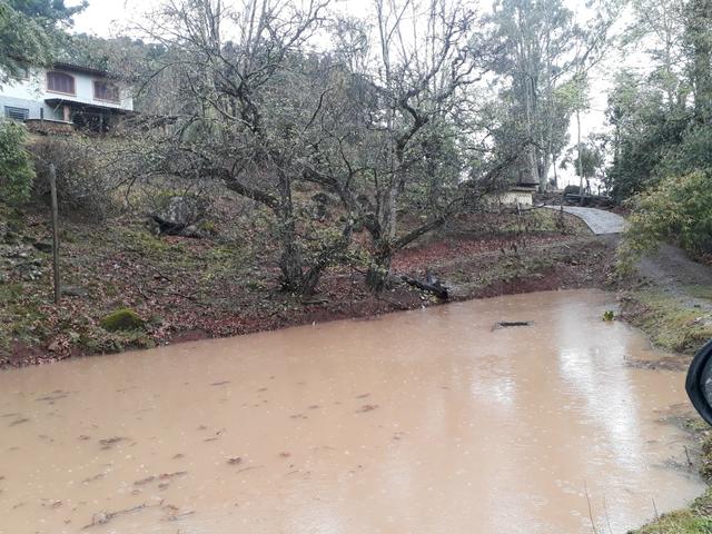 Sítio em Caxias do Sul - Foto 15