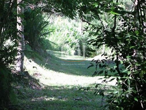 Sítio à venda em Zona rural, São francisco de paula cod:LI50877651 - Foto 8