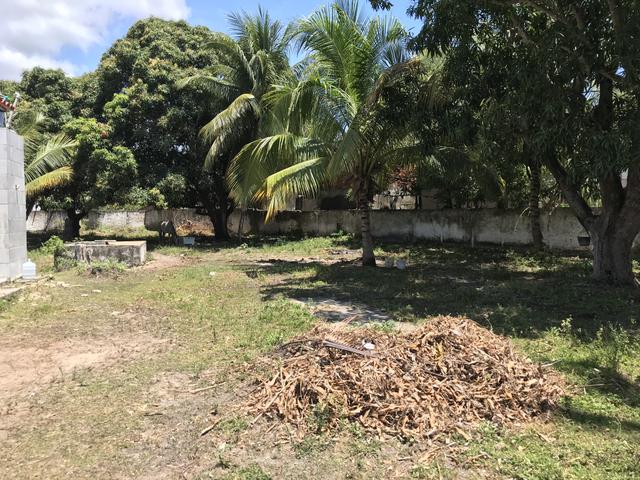 Casa 3 quartos frente ao mar - Bom Jesus - Foto 6