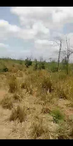 Fazenda para soja