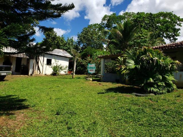 Ibirapitanga. Fazenda pequena com área de 12 ha - Foto 12