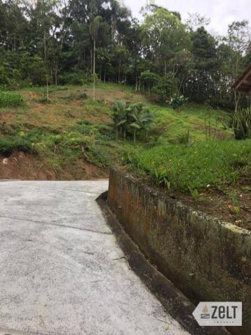 Selecione residencial à venda, rural, benedito novo. - Foto 13