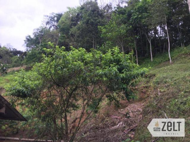 Selecione residencial à venda, rural, benedito novo. - Foto 19