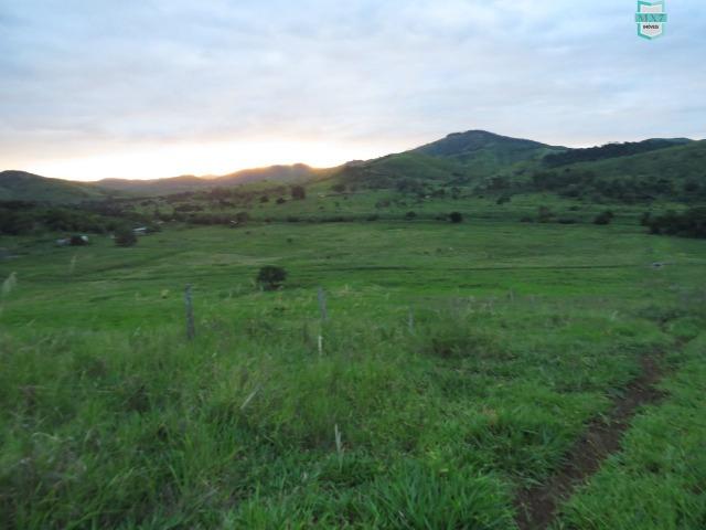 Gongogi - Fazenda pecuária de 655 Hectares toda formada - Foto 15