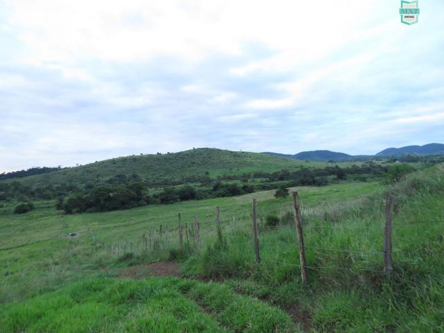 Gongogi - Fazenda pecuária de 655 Hectares toda formada - Foto 8
