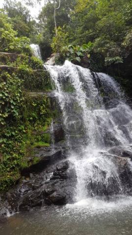 Fazenda com 313 ha região da serra de são vicente - Foto 9