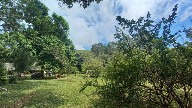Ótimo sítio venda em Rochedo de Minas  - Foto 3