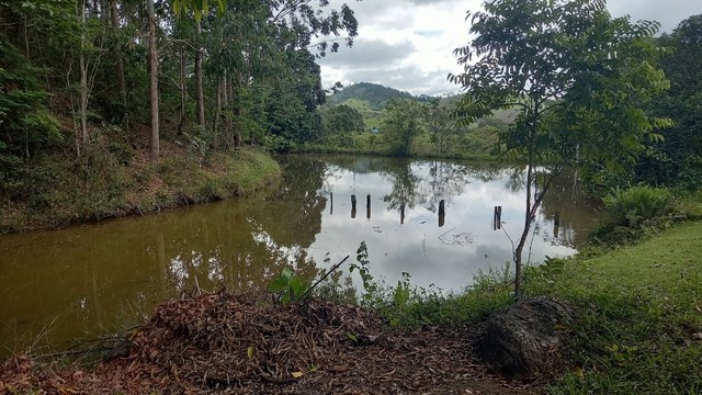 Ótimo sítio venda em Rochedo de Minas  - Foto 2
