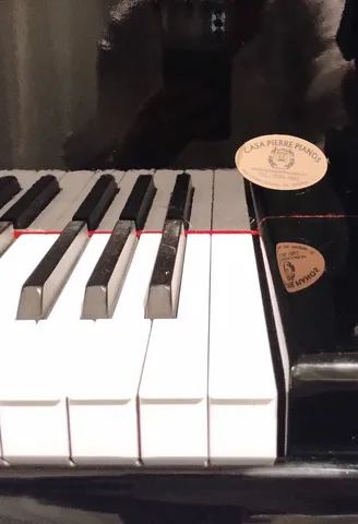 Piano Cauda inteira - Foto 3