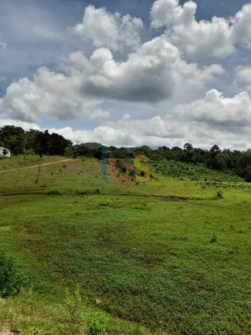 Vendo Fazenda com 385 Hectares - Foto 5