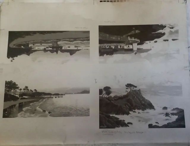 chapa de fotografias Eduardo Camões vista lone Cypress