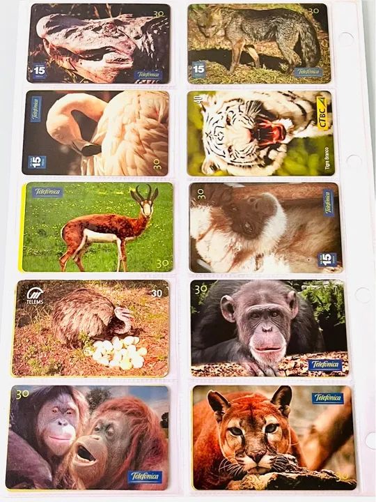 Kit Com 20 Cartões Telefônicos Diversos Animais 