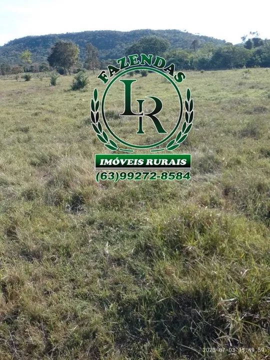 Chácara 10 Alqueires - Foto 4