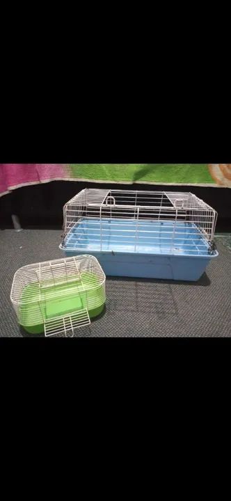 Gaiola para Roedores Grande - Usada - Foto 2