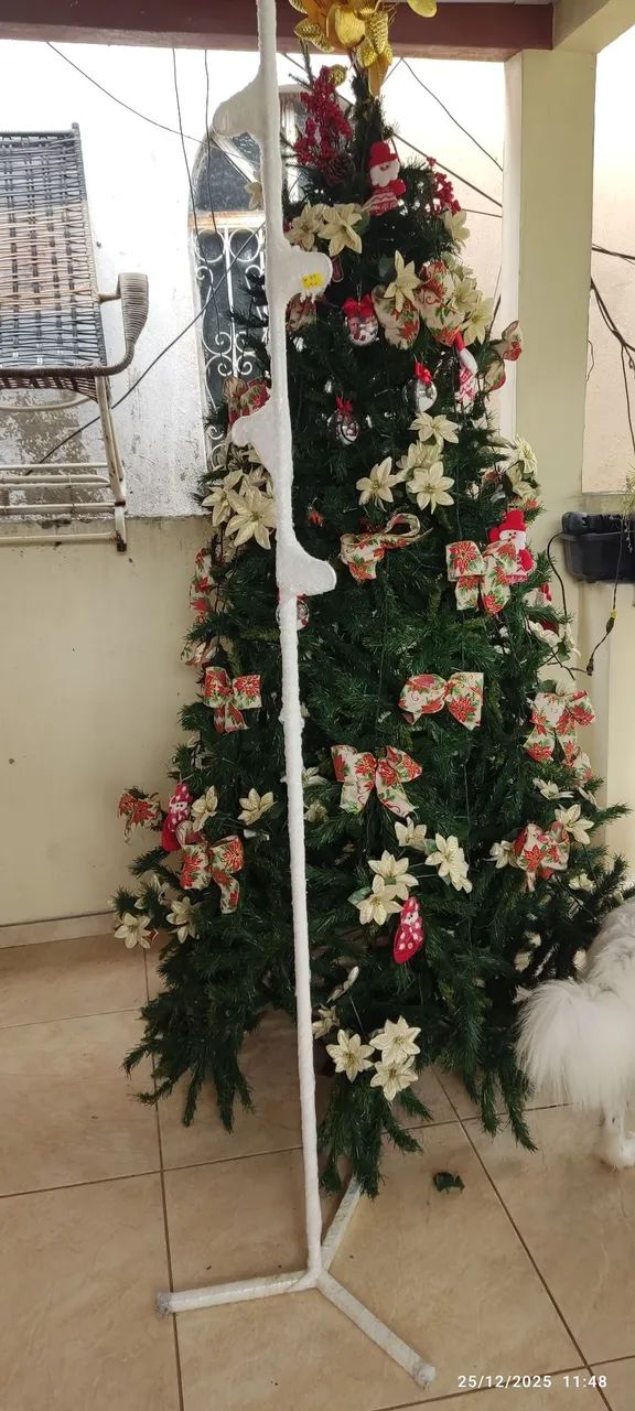 Suporte de Soro Novo