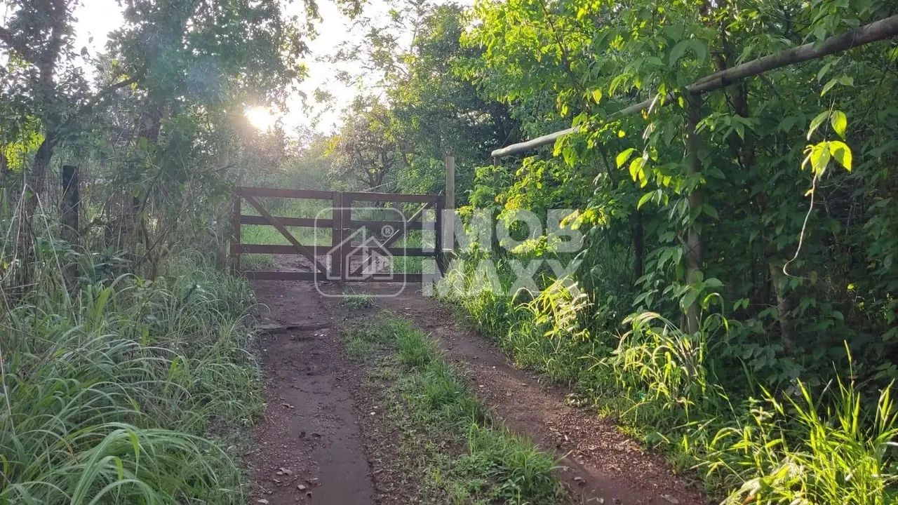 Núcleo Rural Euller Paranhos - Chácara de 28000 m² - Formada vista livre com muita mata vi - Foto 3