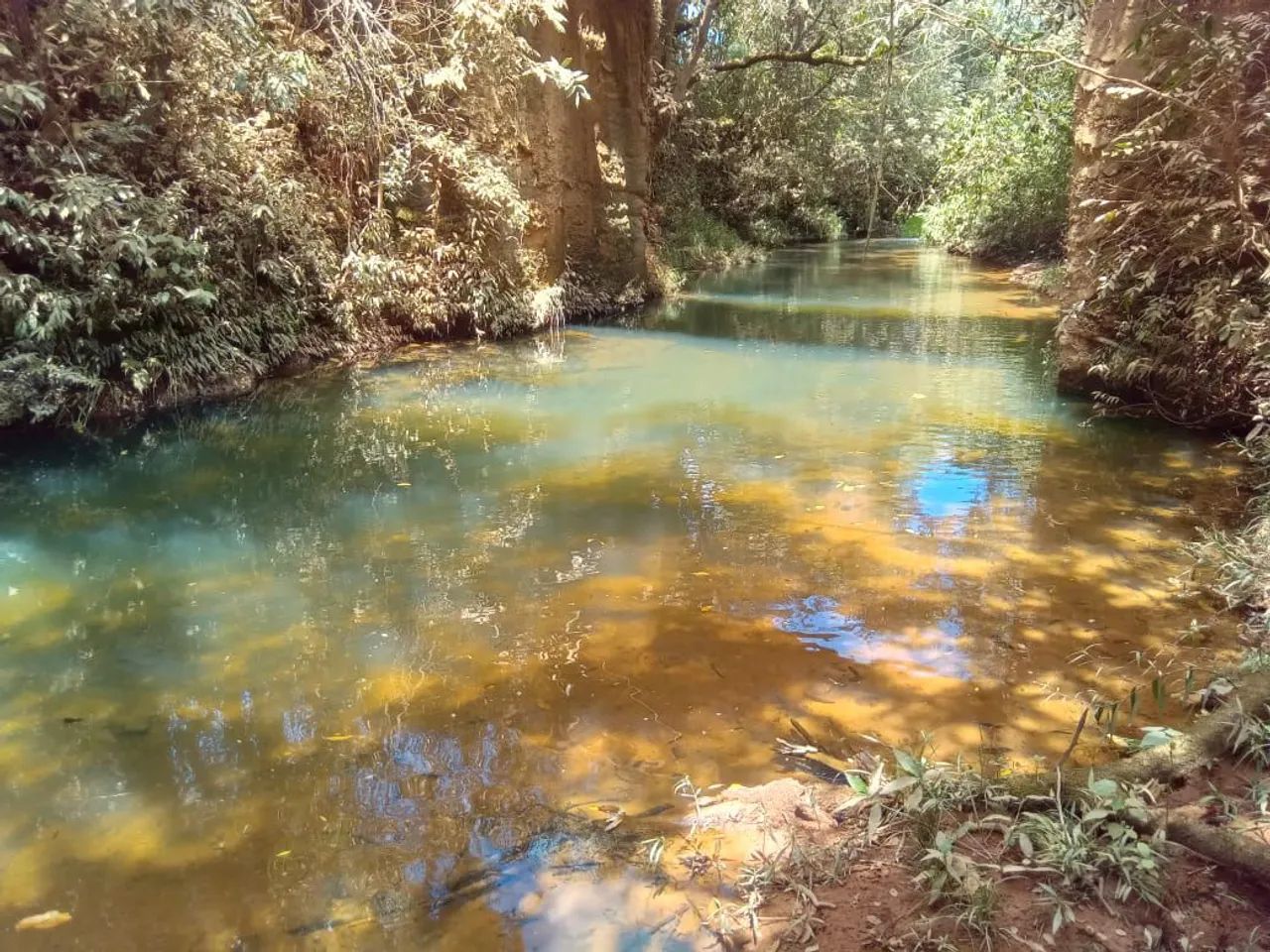 SÍTIO A VENDA REGIÃO DA SERRA DA CANASTRA.  - Foto 2