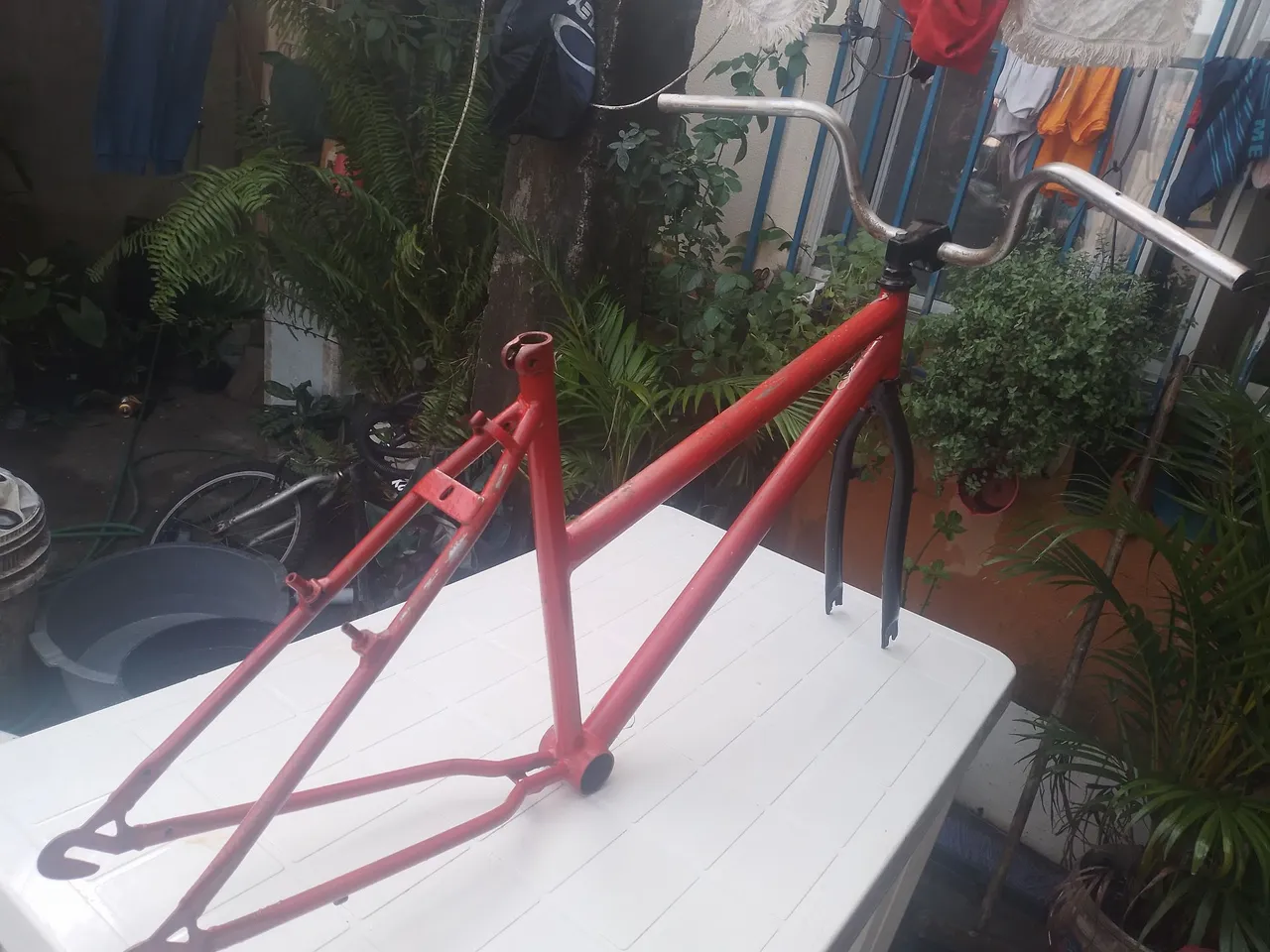 Vendo guadro poty antigo, só o guadro