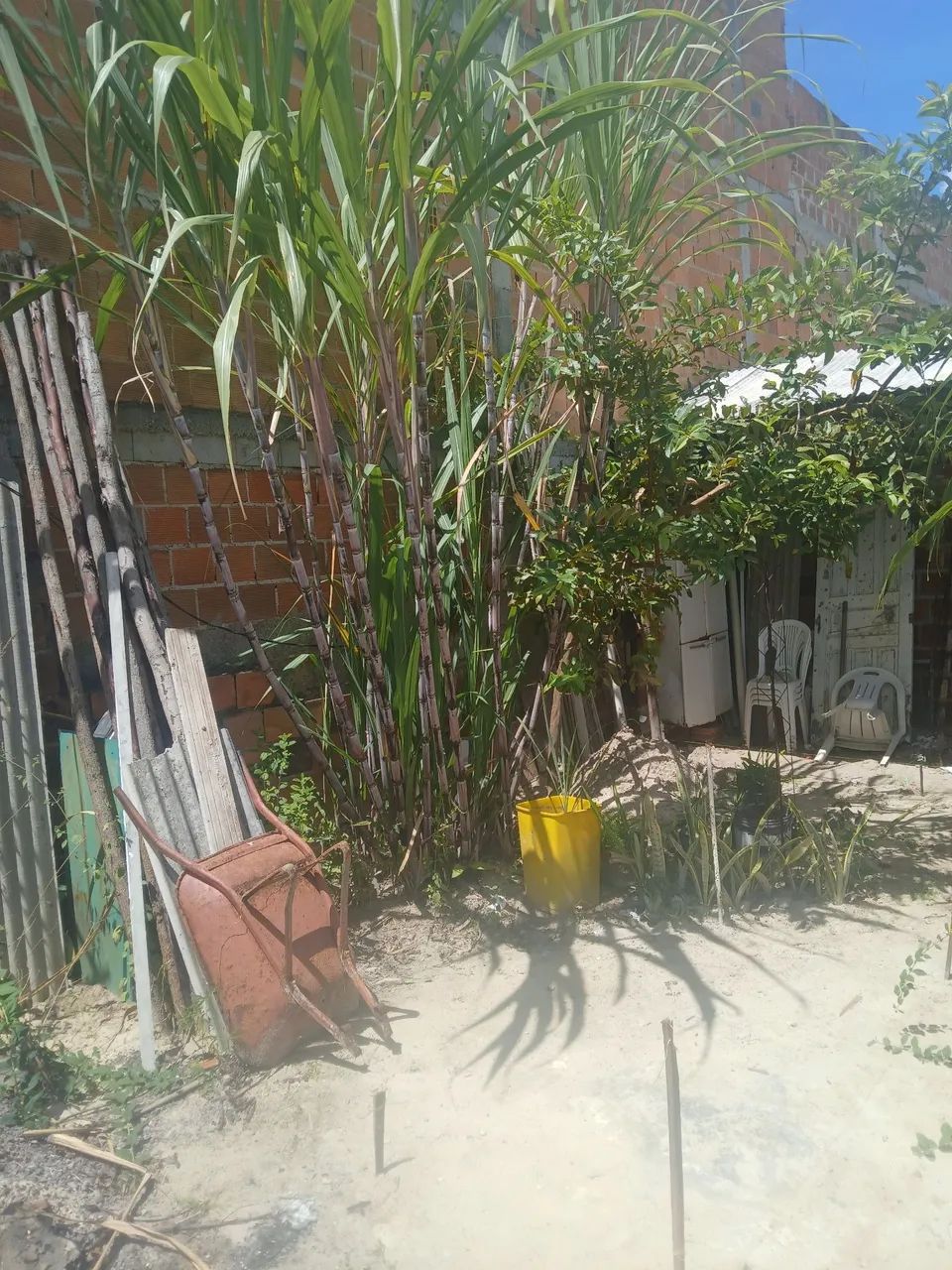 Foto - Aracaju - Lamarão