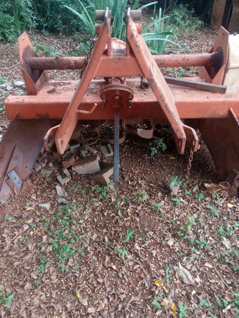 Vende -se Canteiradeira minamy  - Foto 4