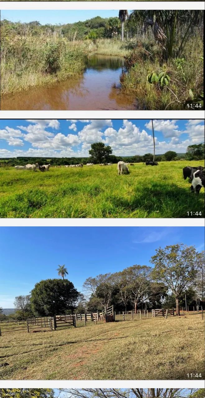Fazenda próximo Uberlândia 80% aproveitamento 