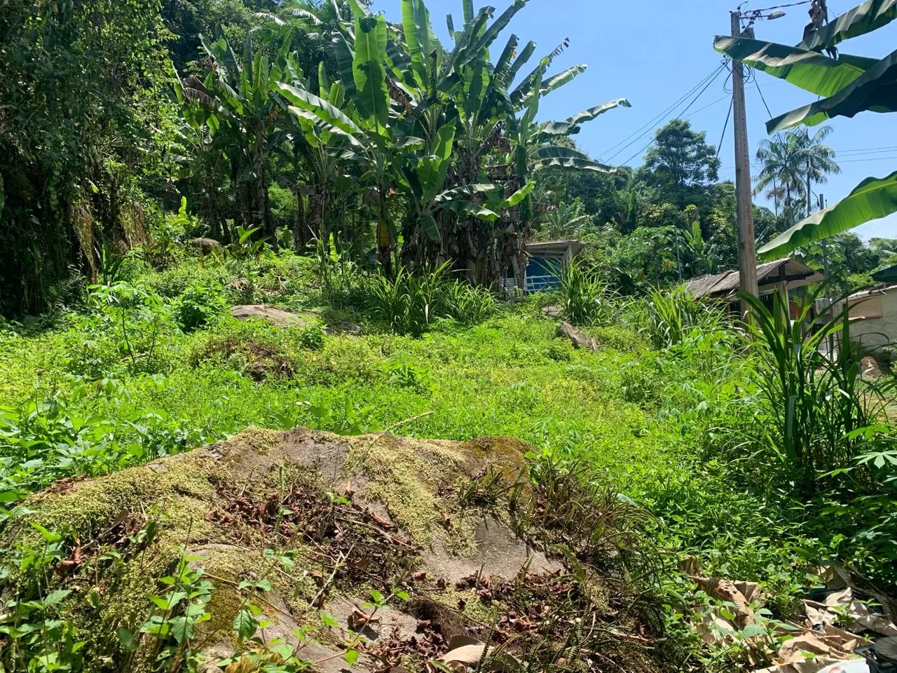 Terreno em Taquari - Paraty - Foto 12
