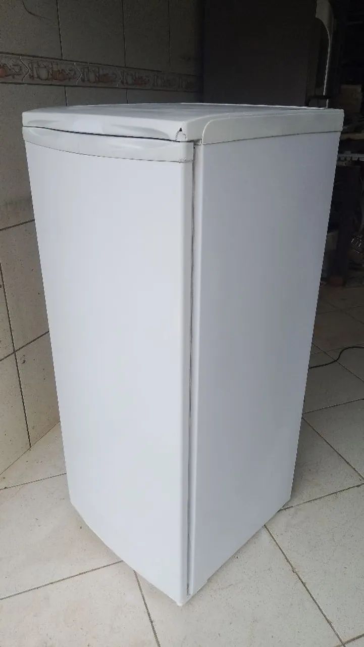 Vendo frizer Electrolux uma porta dupla ação 5 gavetas,parco 12x entrego 