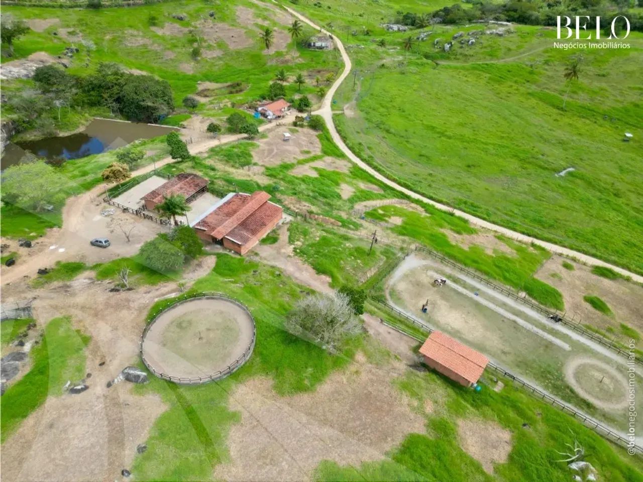 Haras com 50 Hectares em Pernambuco - Foto 4