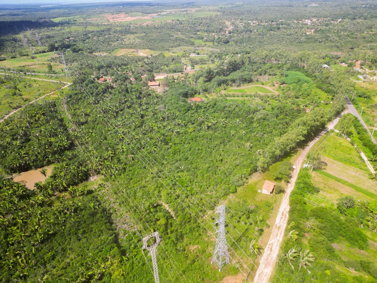 Vendo uma chacará em cajupary com 10ha - (100.000M²)