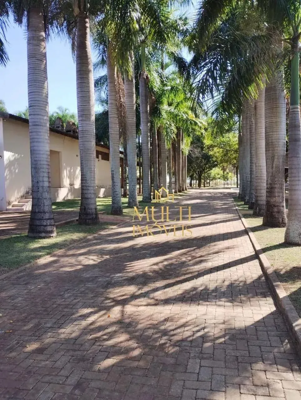 Sítio à venda, 5 alqueires por R$ 3.500.000 - Zona Rural - Nipoã/SP