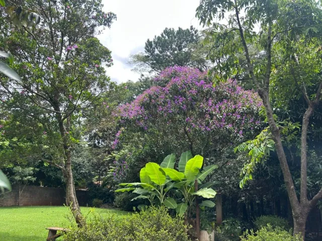 Chácara em área urbana de cascavel, aceita permuta.