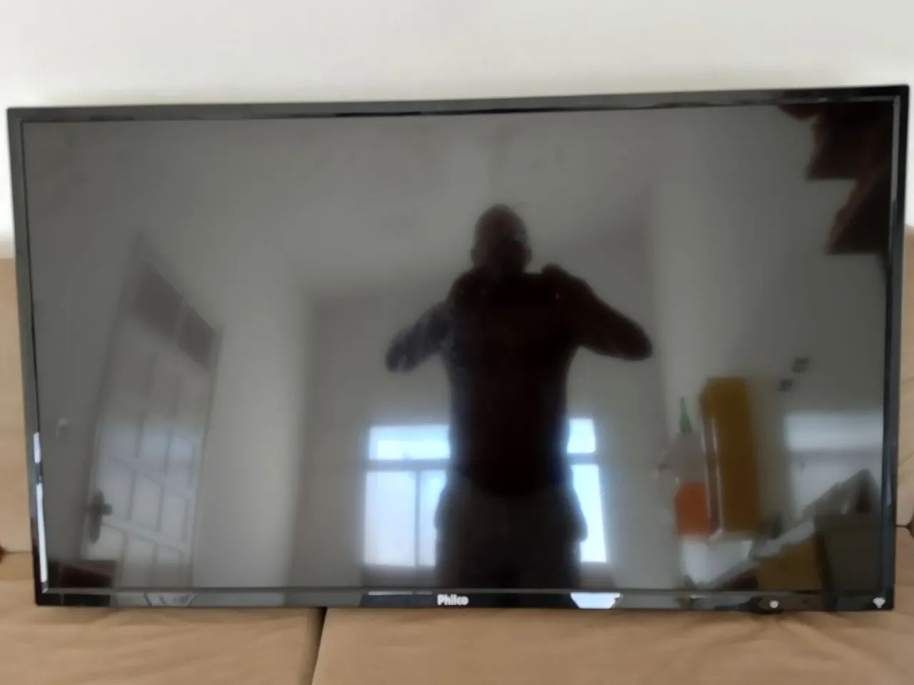 Televisão de 48 polegadas 