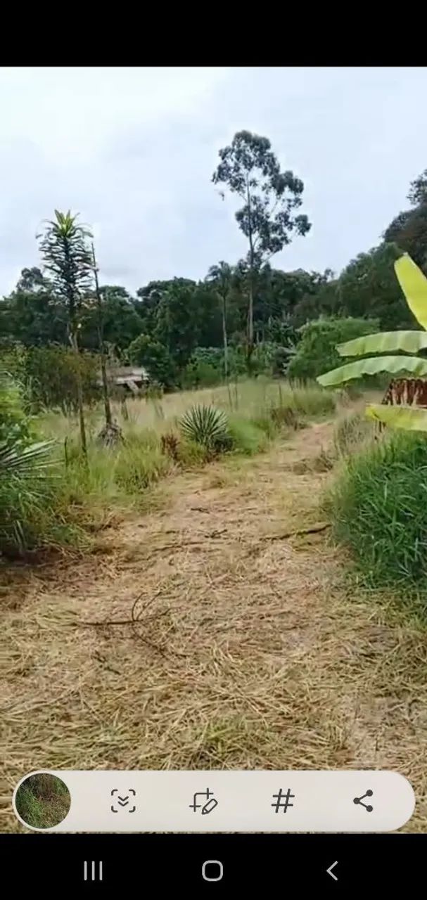 Foto - Ibiúna - 