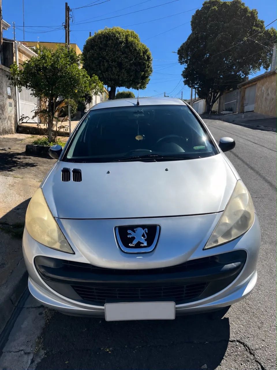 Peugeot 207 207 XR 1.4 Flex 8V 3p 2010