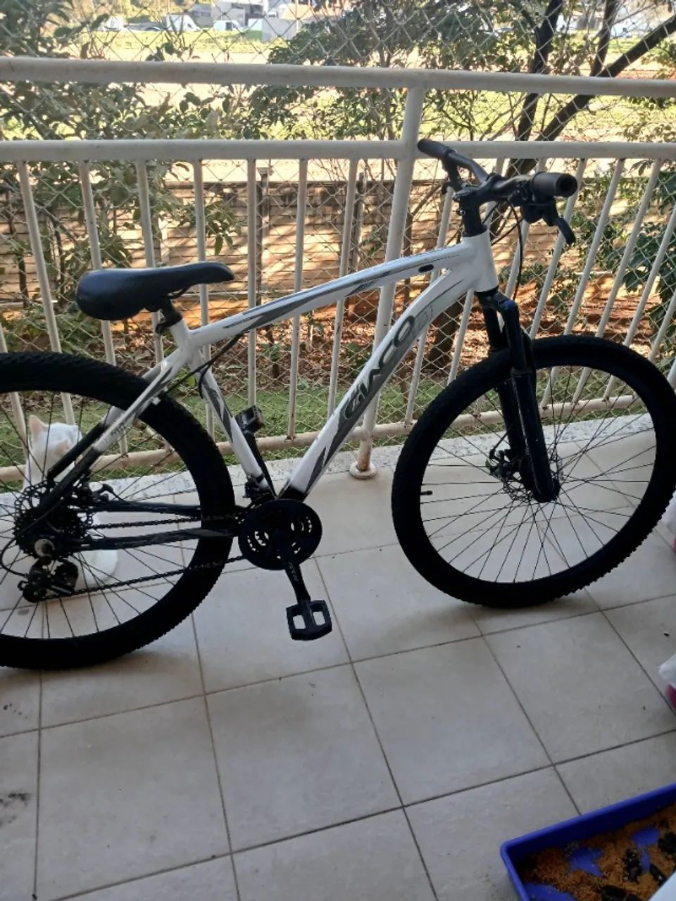 Bicicleta 