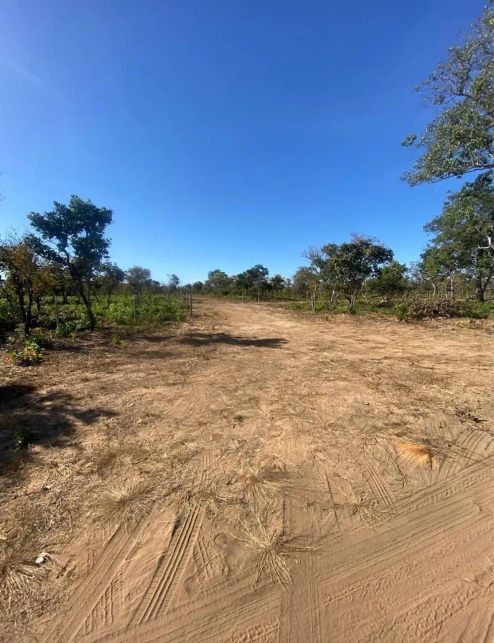 VENDO rancho - LOTE - 2 KM da cidade!  - Foto 2