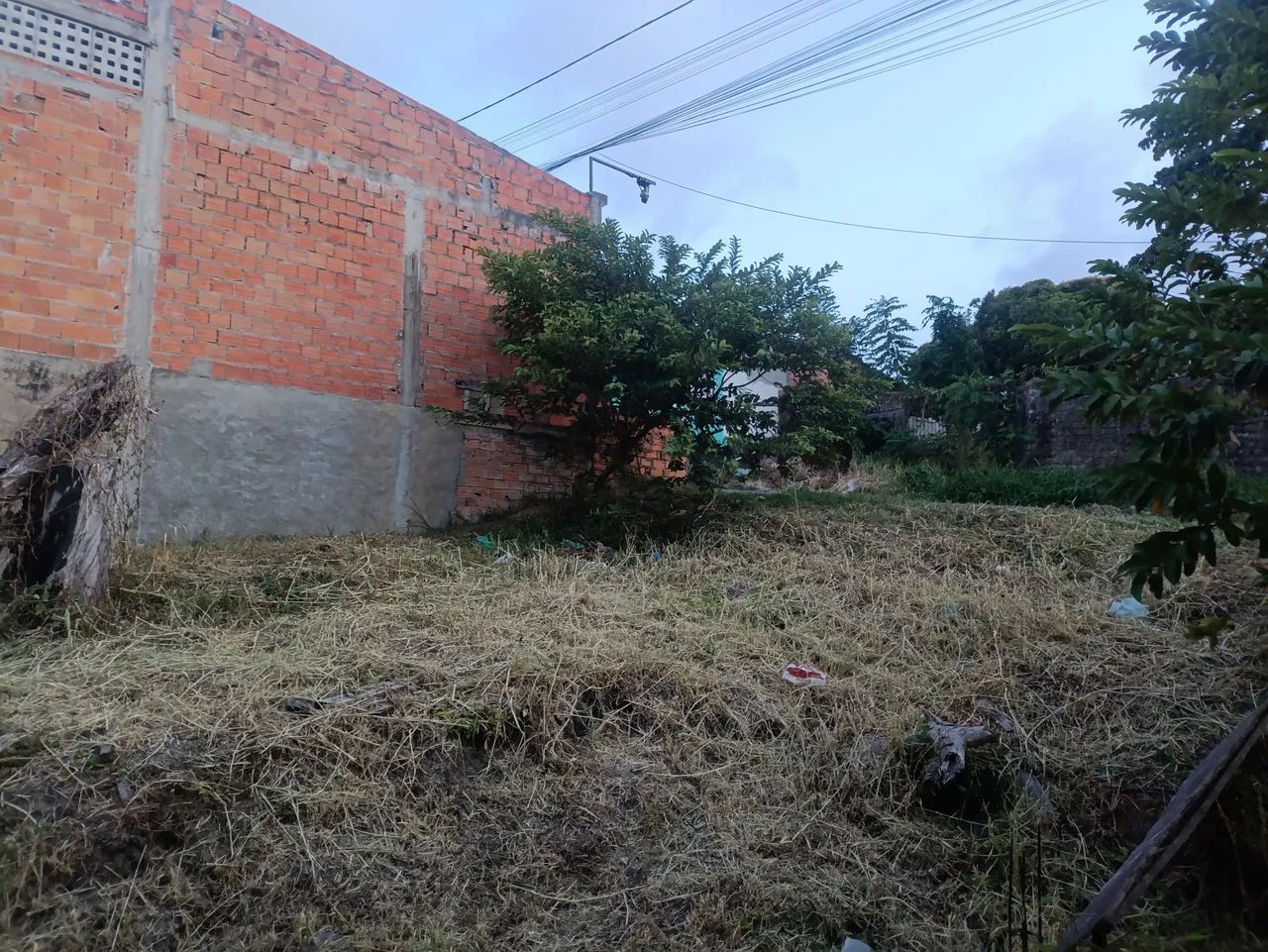 Terreno em Salinas  - Foto 2