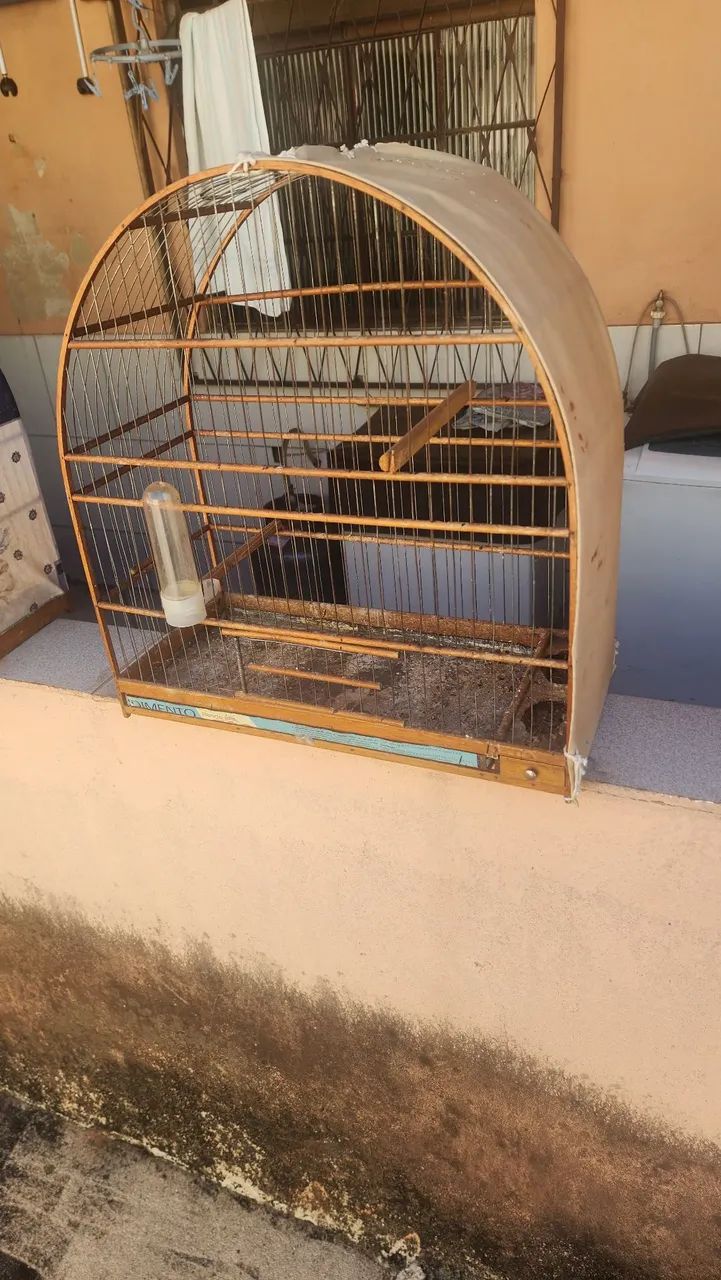 Gaiolas em bom estado  - Foto 3