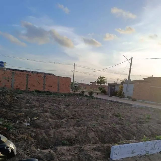 Terreno no povoado Genipapo/ limoeiro de Anadia  - Foto 4