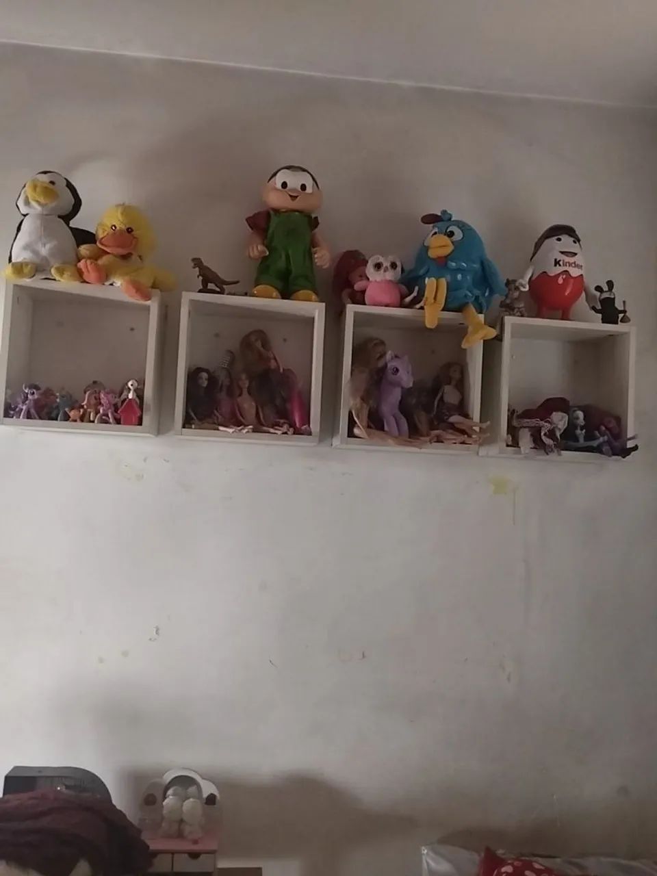 Nicho  - Foto 3