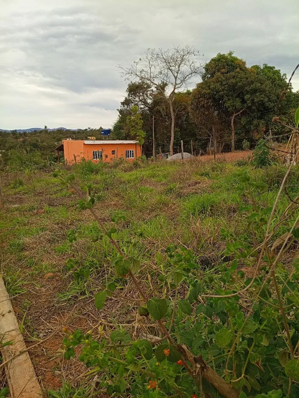 Lotes com escritura e registro em mateus leme  - Foto 3