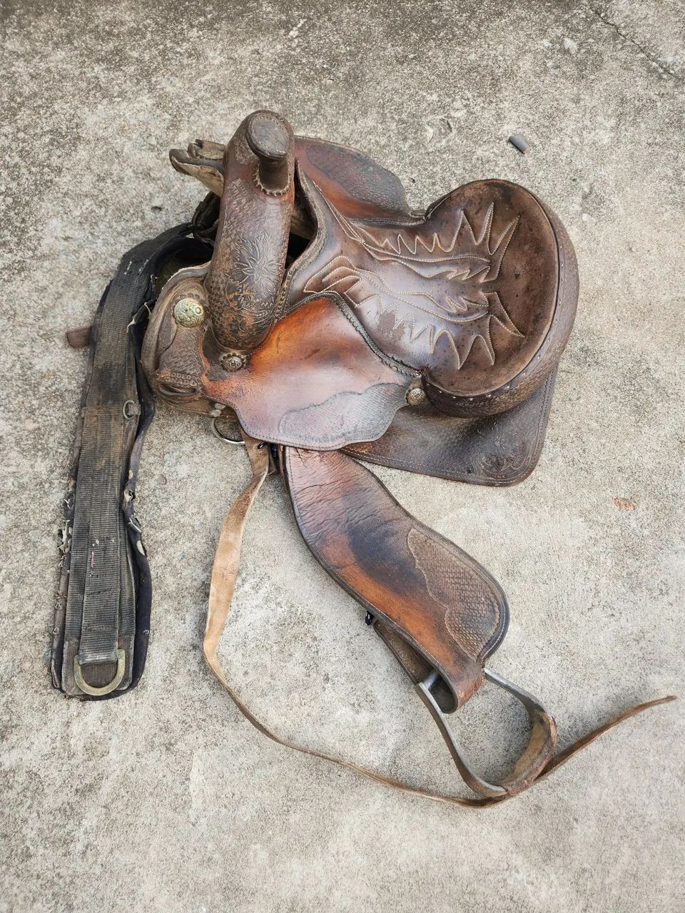 Cela pra cavalo  - Foto 5