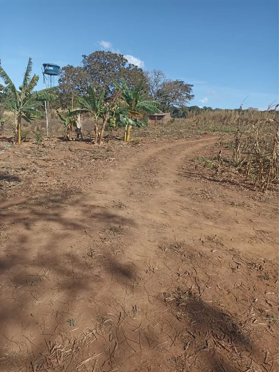 Chácara a 1 km de Caldazinha 
