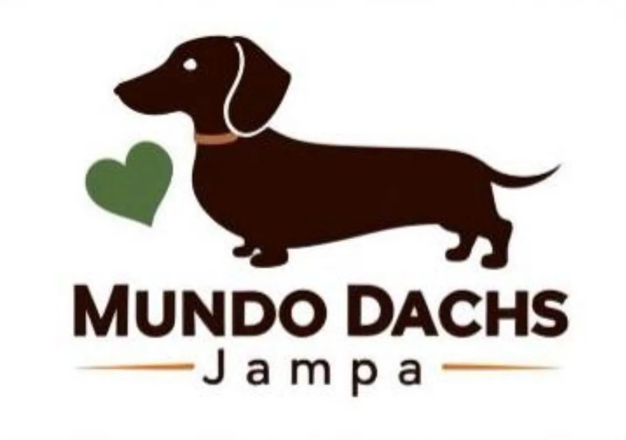 Salsichinha seleção Mundo Dachs - Foto 2