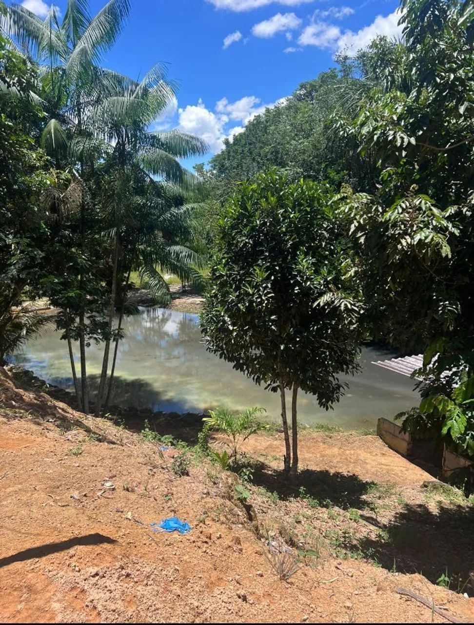 Sítio no ramal do paricatuba - Foto 3