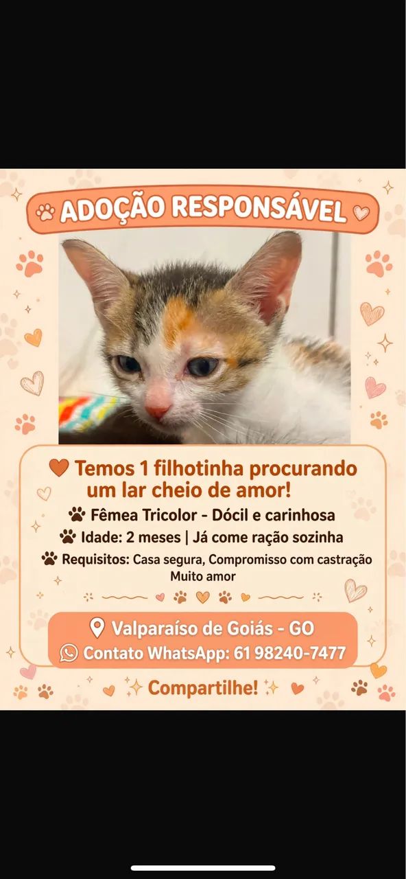 Adoção responsável 