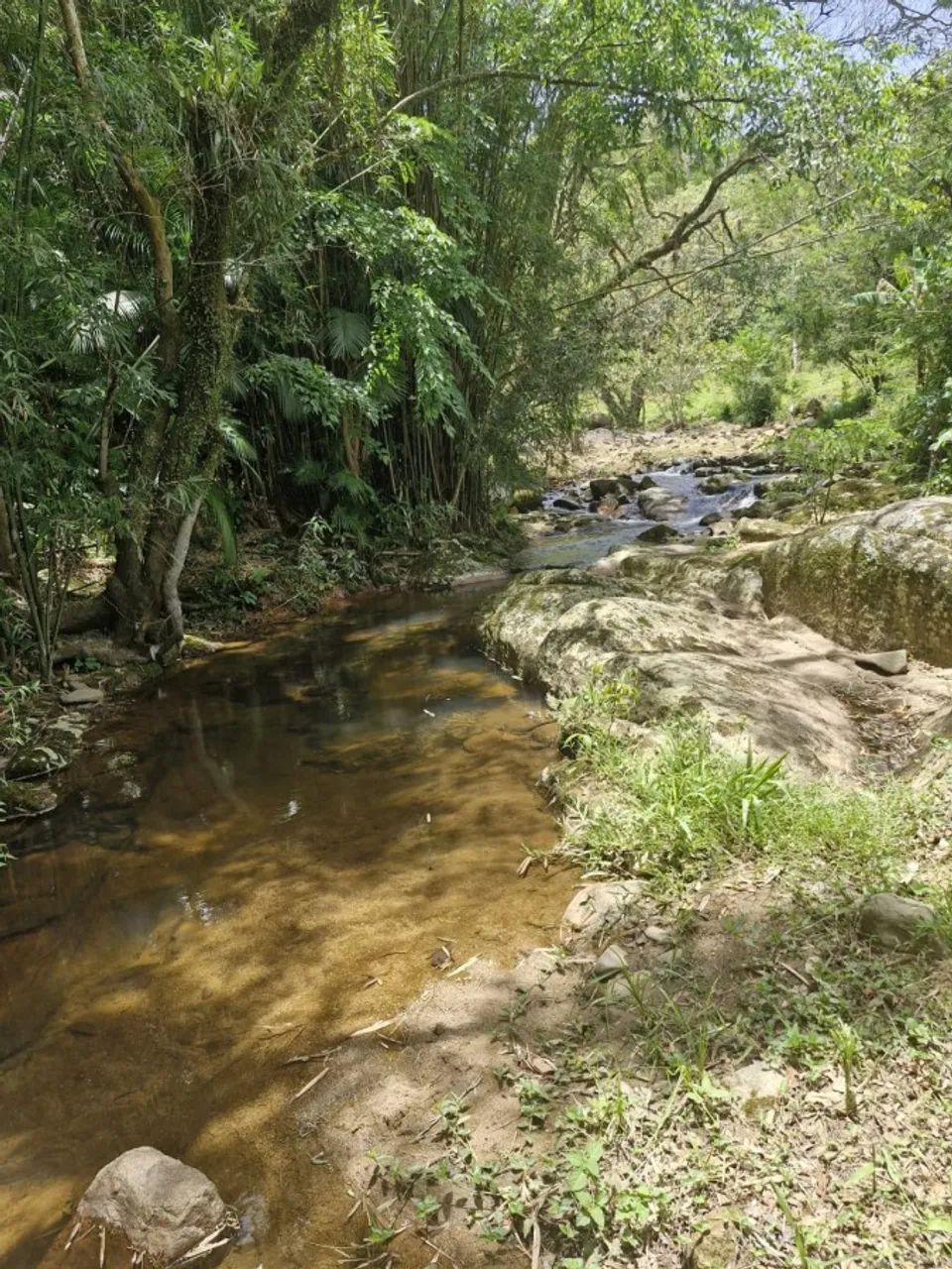 Sítio / Chácara para Venda em Imaruí, Ribeirão - Foto 3