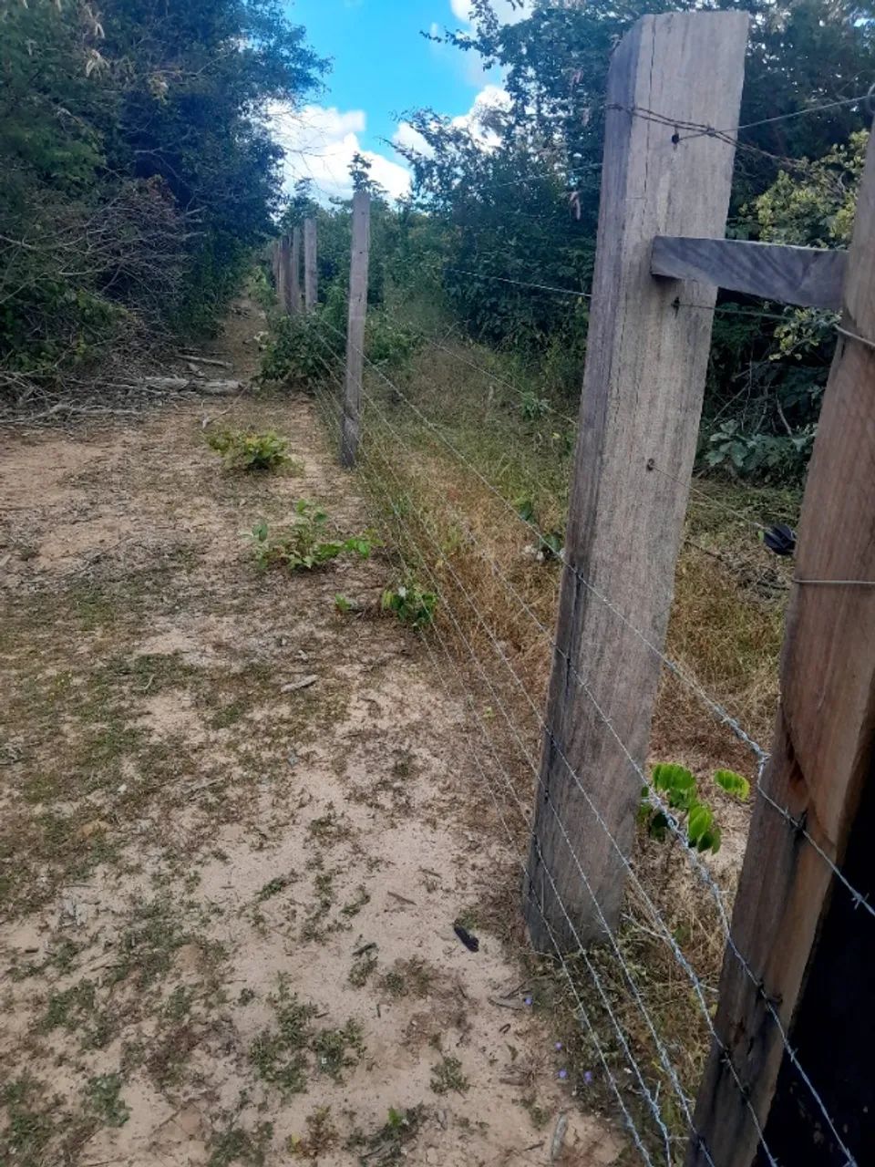 Fazenda de 130 hectares a venda! - Foto 5